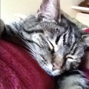 Meet your Posher, Holly